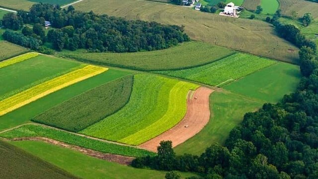 اخذ ۵ هزار فقره سند ‌تک‌ برگ برای اراضی دولتی خوزستان