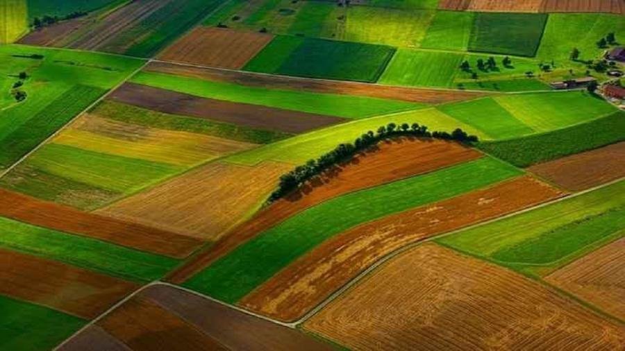 ۸۷.۵ درصد از اراضی کشاورزی خوزستان حدنگاری شدند