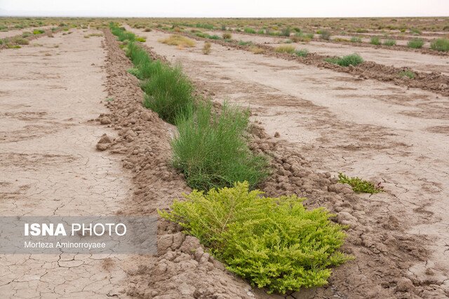 ایجاد کمربند سبز برای شهرهای خوزستان، الزام قانونی است